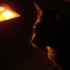 Candle Night