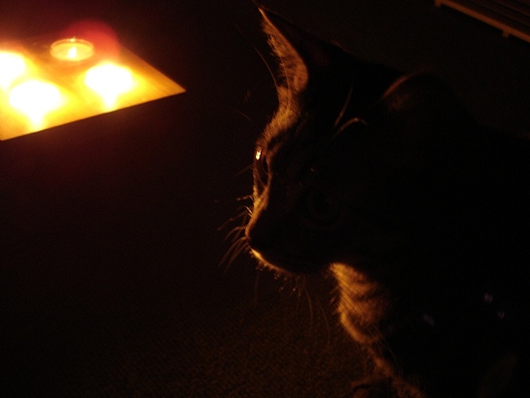 candle night