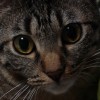 Beautiful Eyes