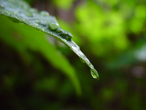 after a shower